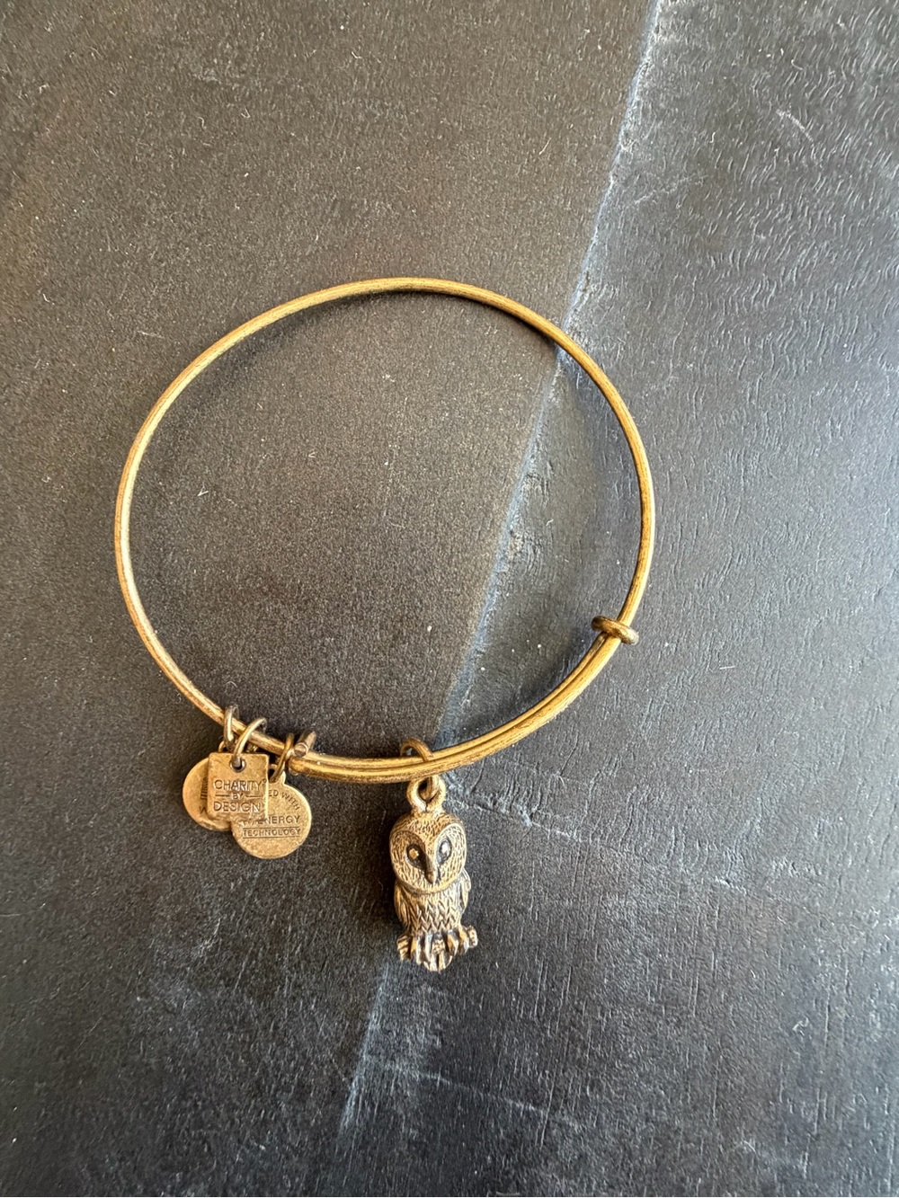 Alex and Ani Owl Charm Bangle